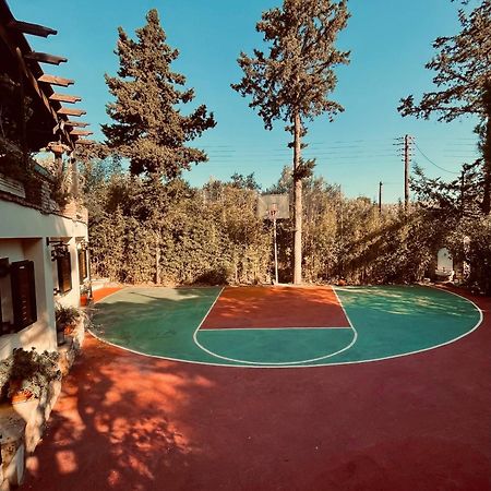 Villa Eleni Sounion Ngoại thất bức ảnh