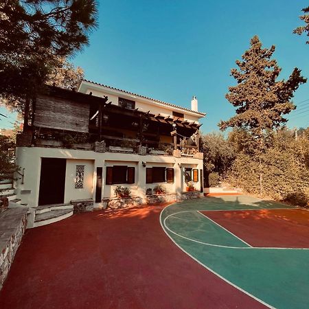 Villa Eleni Sounion Ngoại thất bức ảnh
