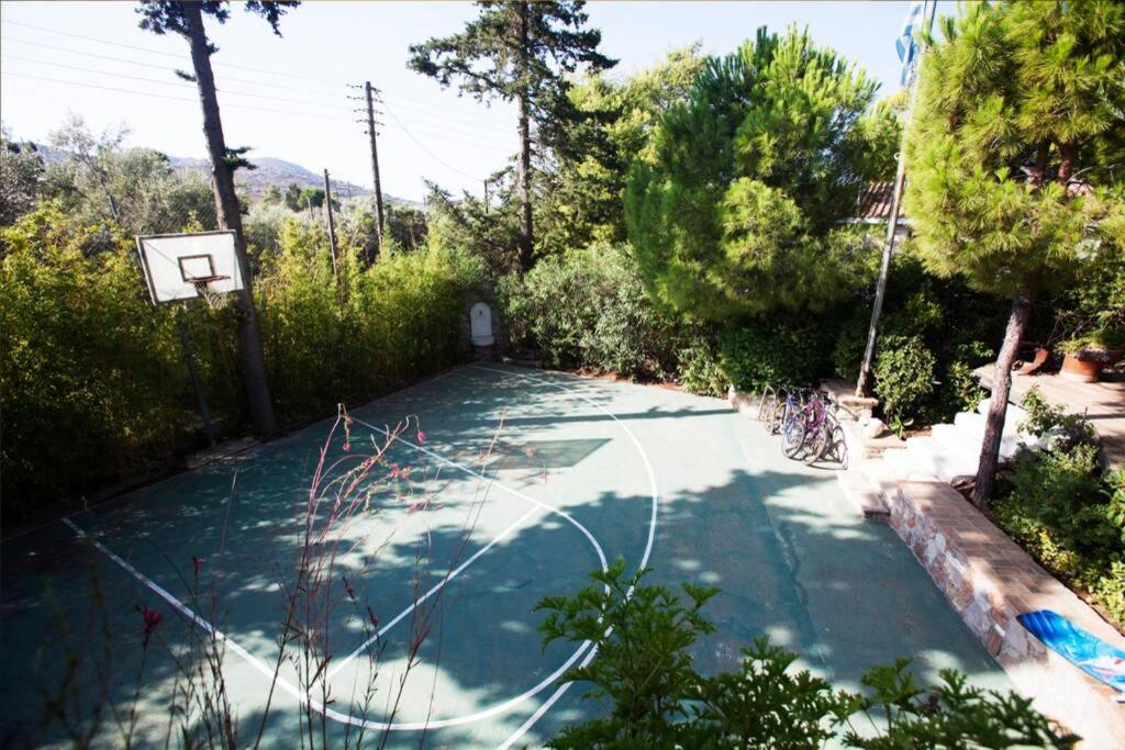 Villa Eleni Sounion Ngoại thất bức ảnh